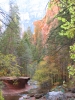 PICTURES/Sedona West Fork Trail  - Again/t_Oak Creek15.jpg